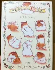 えぼの画像