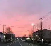 ラムネの画像