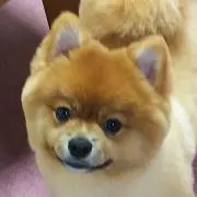 ペペ