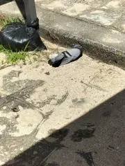 りんたおうじの画像