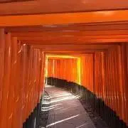 【今週末片付け中】クリアの画像