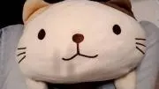 もふねこの画像