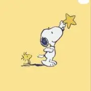 みかんの画像