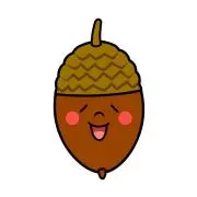 どんぐりの画像