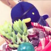 笹丸の画像