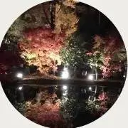 みるくの画像