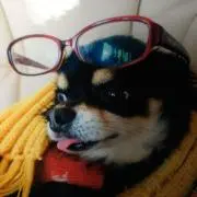 peanutの画像