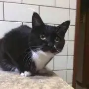 Kの画像