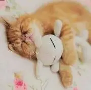 K★☆