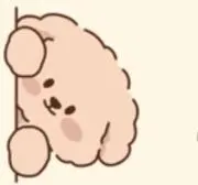 はくちゃんの画像