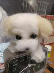 キーズの画像
