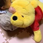吉とゴンの画像