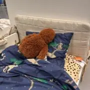 まーぼの画像