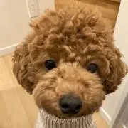 にじまるの画像