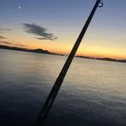 こうたの画像