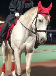 のんの画像