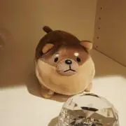 にゃりの画像