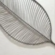 m ⚠︎︎プロフ欄必読の画像