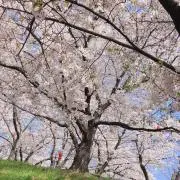 じゅんとも