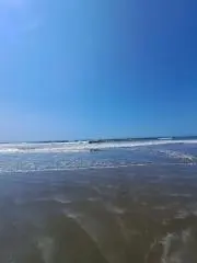 6/1～6/10発送できません。ぱぴるの画像