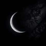Luna Closetの画像
