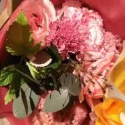 りむの画像