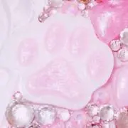 ☺︎にゃ☺︎の画像