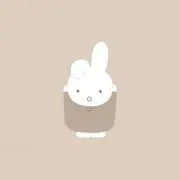 a-yan