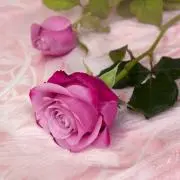 なな✿プロフの取引詳細見てね✿セール中✿の画像