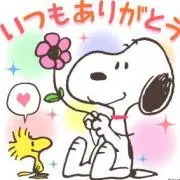 ★c-msrhr-srrm★の画像