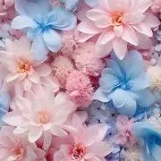 ゆかりこの画像