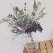 ももの画像