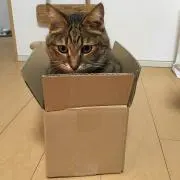 チビ★