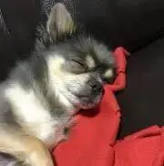 みきてぃ