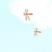 くま