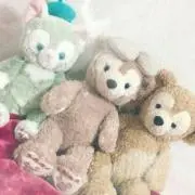 ひまわりの画像