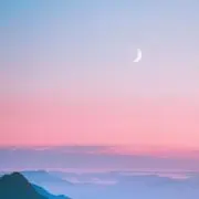 ちみの画像