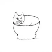ocoshiの画像