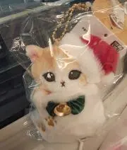 ぽんみんみんの画像