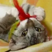 ミチ☆プロフィール必読☆の画像