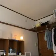 ryo