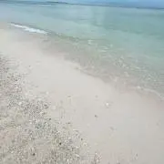 mohikanの画像