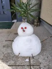 こがらの画像