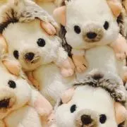 ぴかぴかの画像
