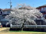 cqcq8649の画像