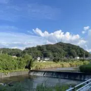 しおしおの画像
