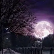 LUNAの画像