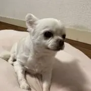 ちか工房の画像