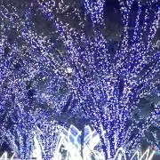 みらい堂の画像