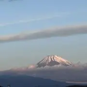 トッシーの画像